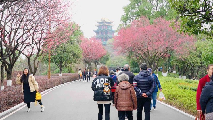 14bf7201cd51451523b0a64efe524ea8.jpeg 14bf7201cd51451523b0a64efe524ea8.jpeg