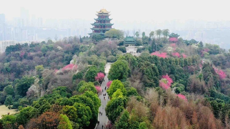 ecc0923082ed06e4a363d9d6d0c22b52.jpeg ecc0923082ed06e4a363d9d6d0c22b52.jpeg