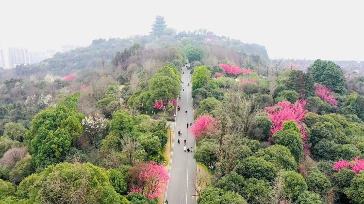 5abf06b04a9b0de92c7090c65e56e9bf.jpeg 5abf06b04a9b0de92c7090c65e56e9bf.jpeg